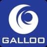 Galloo - Brugge