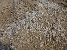 Reactie FEAD op voorstel Commissie voor regelgeving om het verlies van micropellets te voorkomen