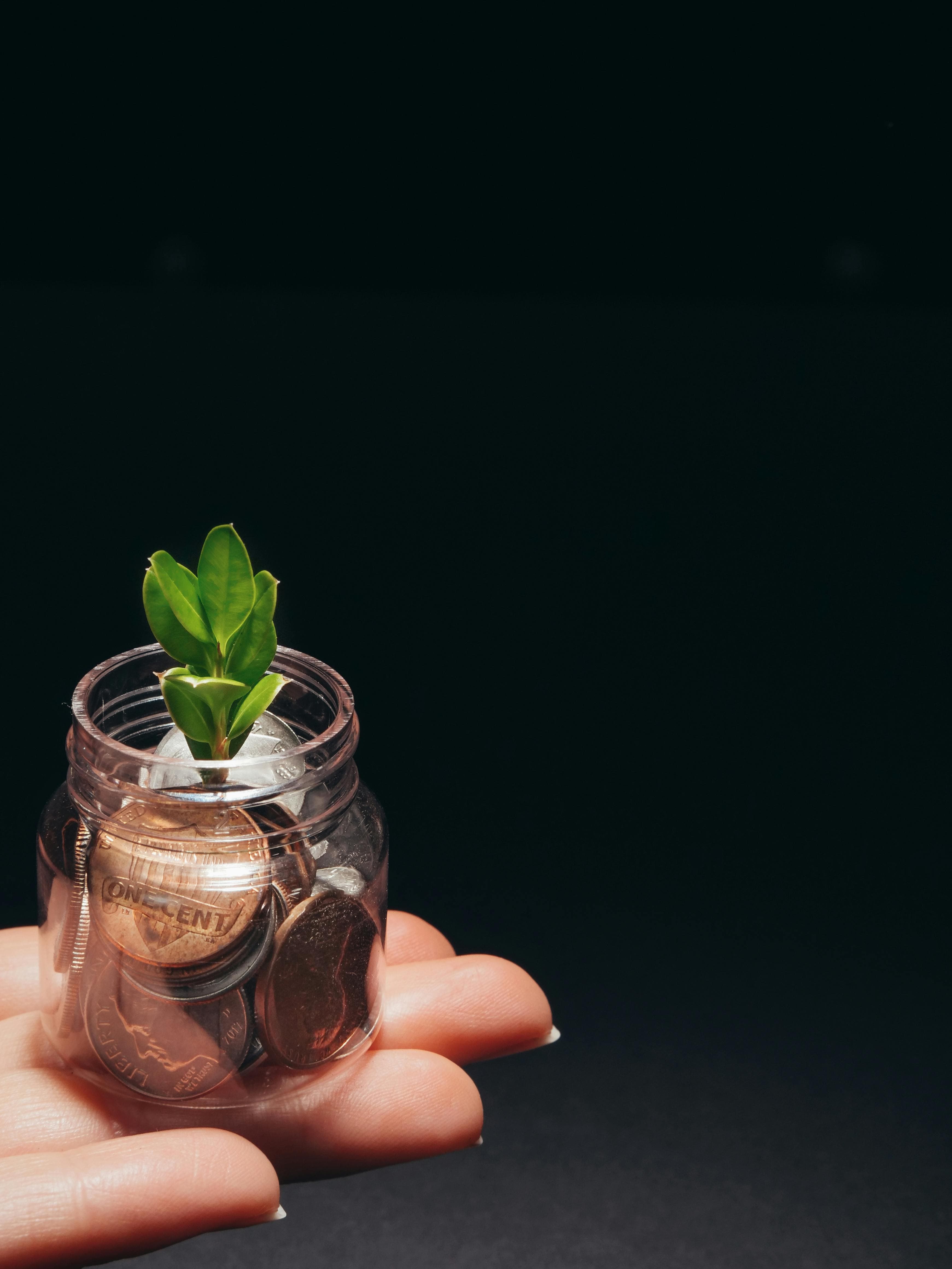 #REACT : EuRIC recherche un.e expert.e pour la plateforme européenne sur la finance durable