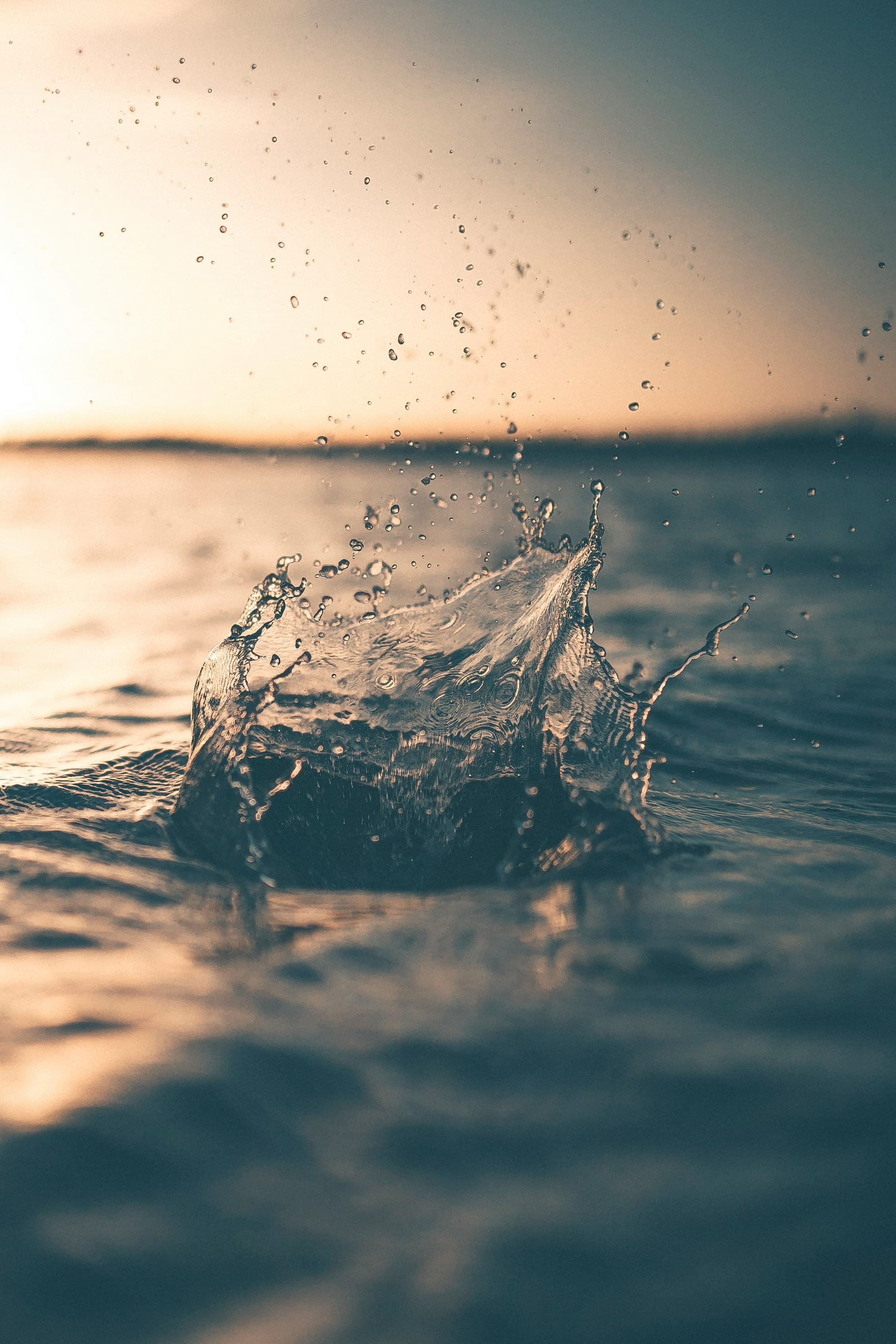 Le jugement sur l'eau : nouveau point final pour les permis environnementaux en Belgique??