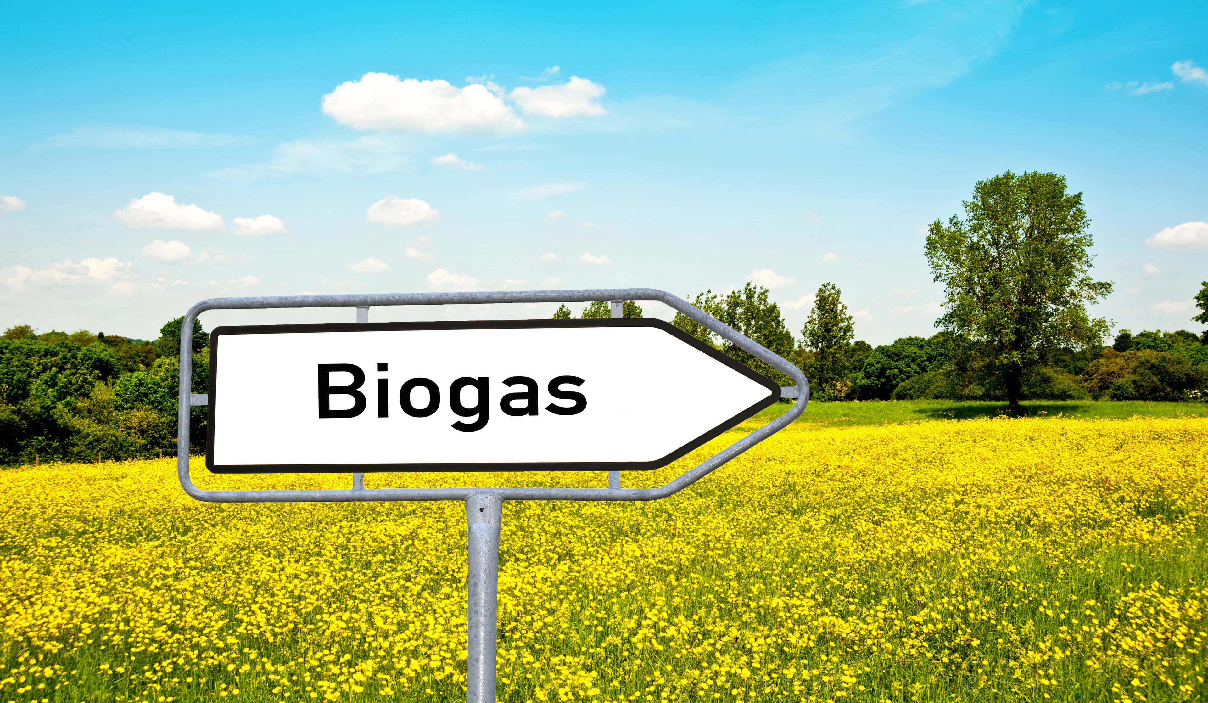 #REACT : VEKA demande l'avis de Denuo sur la méthodologie de l'actualisation des facteurs de banding